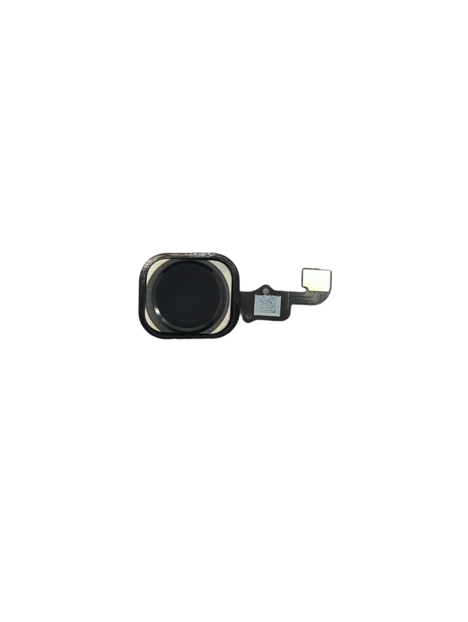 iPhone 6 Plus Compatible Home Button